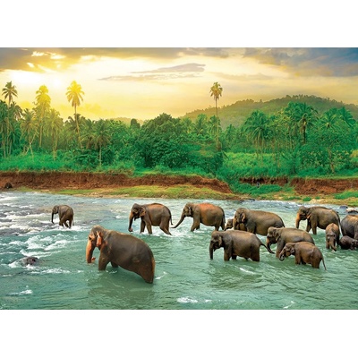 EUROGRAPHICS - Puzzle Save Our Planet: Rain Forest - 1 000 piese