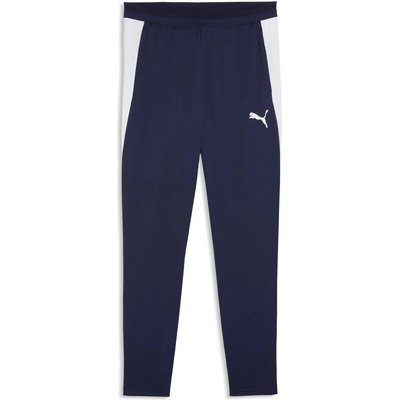 PUMA Teamfinal 26t raining pants m