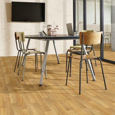 Beaulieu A1 Long Life Pro Master X 2960 4 m 1 m²