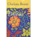 Profesor