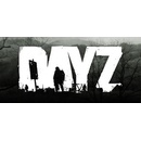 DayZ