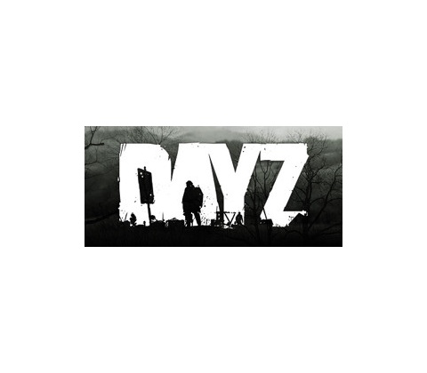 DayZ