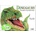 Dinosaury