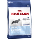 Granule pre psov Royal Canin Maxi Junior 4 kg