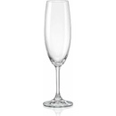 Crystalex Sklenice na sekt LARA 6 x 220 ml