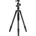 Vanguard Vesta GO 264CB