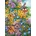 Cobble Hill - Puzzle Summer Bounty - 500 piese