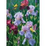 Cobble Hill - Puzzle Spring Glory - 1 000 piese