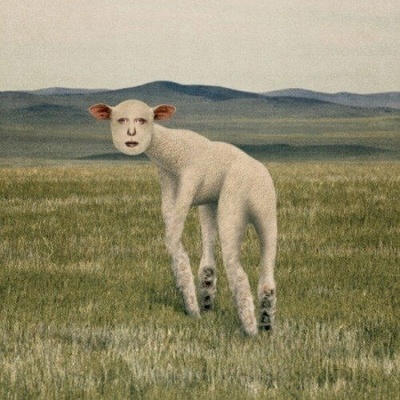 Thornapple - Animal CD