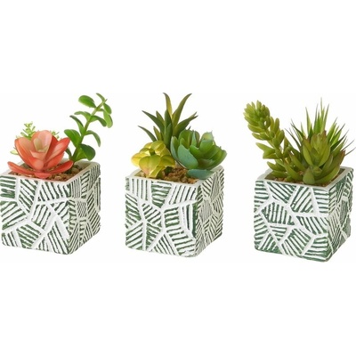 Umelé rastliny v súprave 3 ks (výška 12 cm) Cactus – Casa Selección