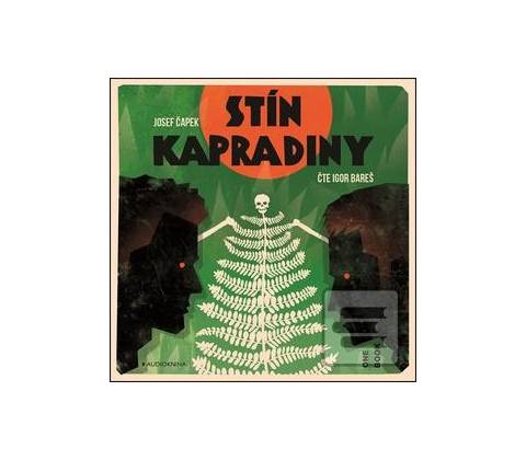 Stín kapradiny