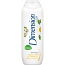 Dimension by Lux 2in1 šampón a kondicionér 2 v1 pre suché vlasy 250 ml