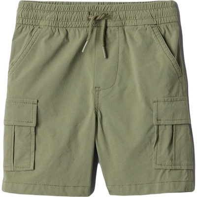 GAP V-hybrid cargo 3y