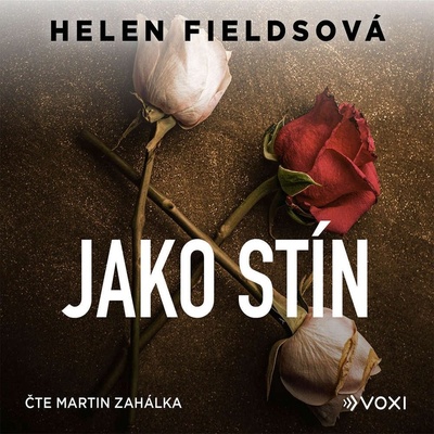 Jako stín - Helen Fields - Čte Martin Zahálka