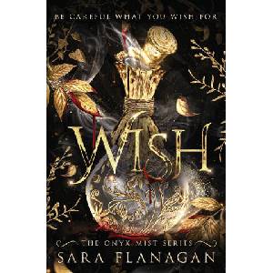 Wish (ISBN: 9781068959516)