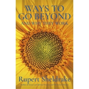 Ways to Go Beyond and Why They Work (ISBN: 9781473653443)