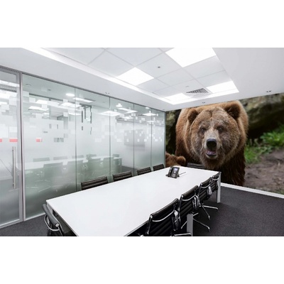 Dimex MA-5-0430 Samolepicí vliesová fototapeta na zeď Medvěd grizzly rozměry 375 x 250 cm