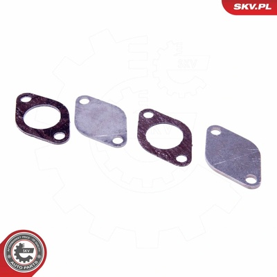 Súprava na opravu, ventil AGR ESEN SKV 14SKV532 14SKV532