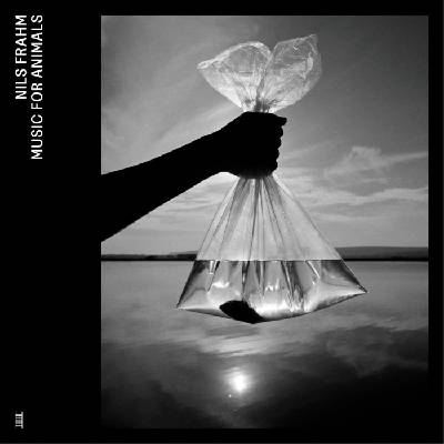 BMG Frahm Nils: Music For Animals - 4Vinyl (LP) (052529)