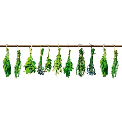 DIMEX ART Фототапет за кухня - билки 180 x 60 см