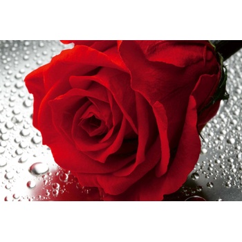 DIMEX ART s. r. o Флизелинов фототапет детайл от червена роза 375 x 250 см