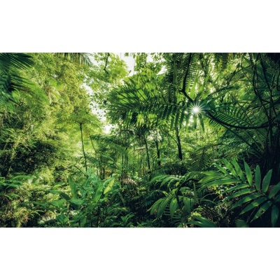 Komar Vliesová fototapeta Into The Jungle rozměry 400 x 250 cm