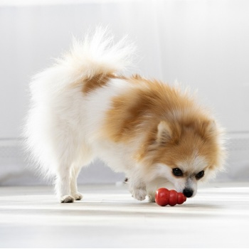 Kong Classic Granát 2 x XS 5,7 x 3,8 cm