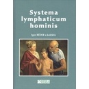 Systema lmphaticus hominis