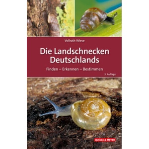Die Landschnecken Deutschlands | Vollrath Wiese (ISBN: 9783494019925)