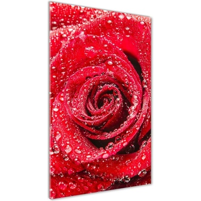 Vertikálny foto obraz sklenený Červená ruža 50x100 cm