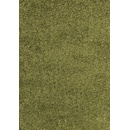 Ayyildiz Dream Shaggy 4000 Green