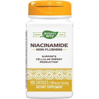 Nature's Way Niacinamide 500 mg [100 капсули]
