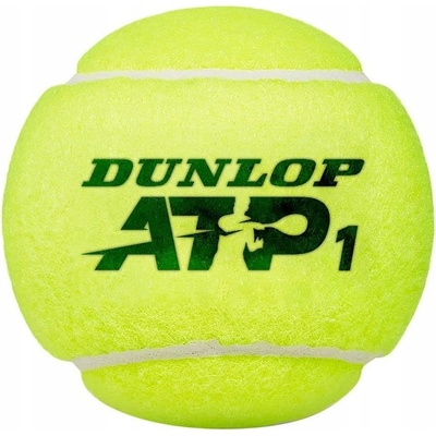 Dunlop ATP Championship 4 ks