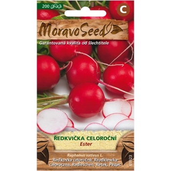 Reďkovka celoročné ESTER, červená 65923