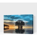 Vymalujsisam Malování podle čísel Osamělý strom 2