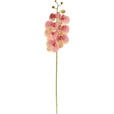 KS ORCHIDEA PHALAENOPSIS ŽLTO-CYKLAMÉNOVÁ 73CM
