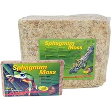 Lucky Reptile Sphagnum Moos rašeliník 100 g