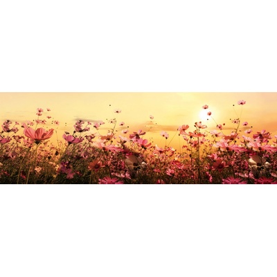 Dimex KI180-130 Fototapeta do kuchyně Flower Field rozměry 180 x 60 cm