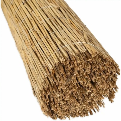 Trstinový plot BASIC (Rákosová rohož) š 600 x v 120 cm