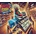 Shoes Store Simulator
