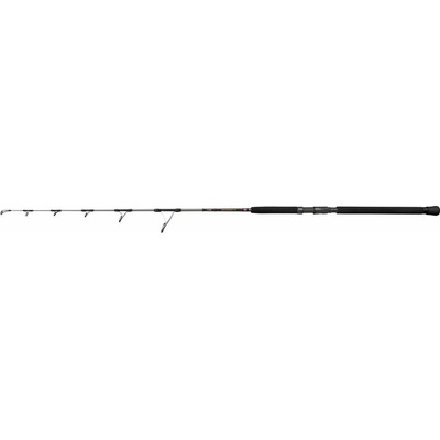 Penn Regiment IV Jigging Spinning 1,82 m Max 180 g 1 diel