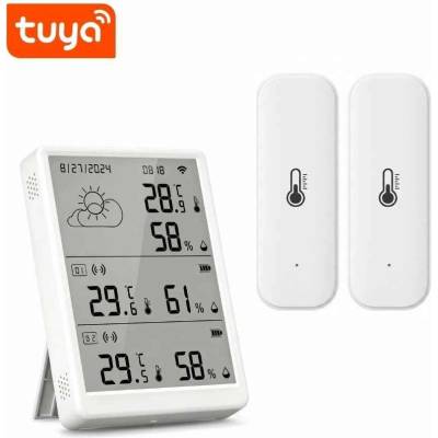 Blueroad HM1 Tuya