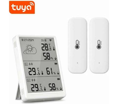 Blueroad HM1 Tuya