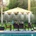 TopGarden 380902