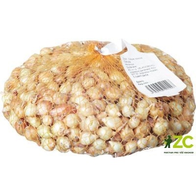 Cibule sazečka - Štuttgartská 250g – Zboží Dáma