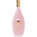 Bottega Raspberry 15% 0,5 l (holá láhev)