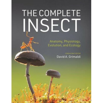 The Complete Insect - Anatomy, Physiology, Evolution, and Ecology