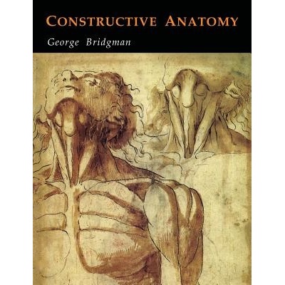 Constructive Anatomy Bridgman George B.Paperback