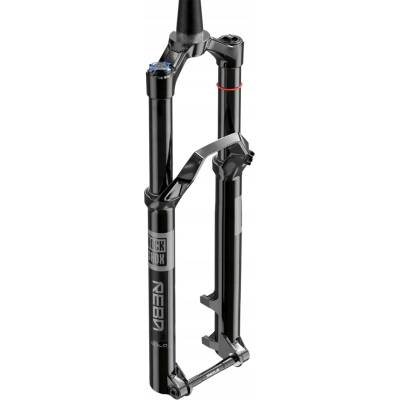 RockShox Domain Gold