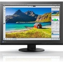 Eizo CS240